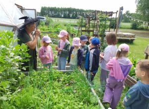 Agroturystyka u Baby Jagi - wycieczka