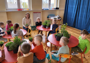 Dzieci z grupy III słuchają wykładu o ziołach