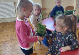 Dzieci dotykają i wąchają zioła