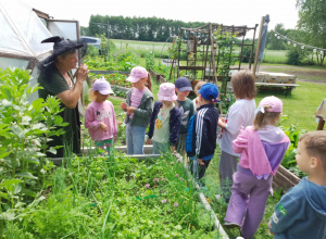 Agroturystyka u Baby Jagi - wycieczka
